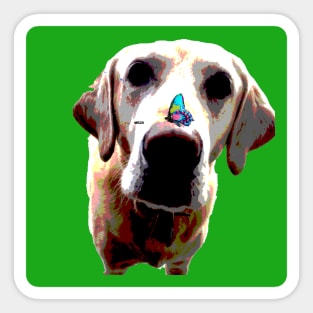 Yellow Labrador Retriever Sticker